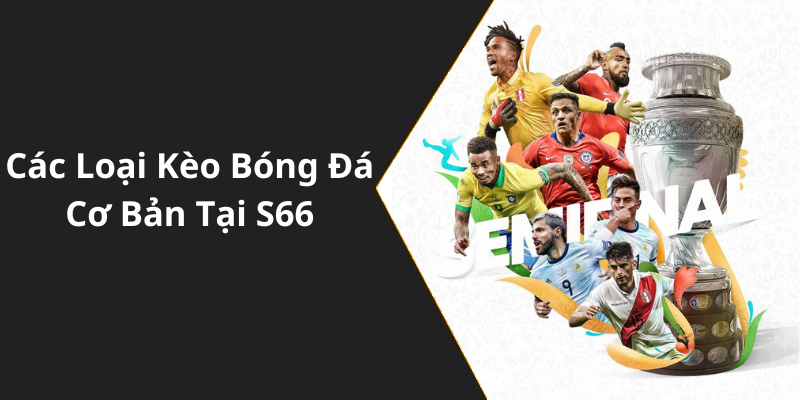 Các Loại Kèo Bóng Đá Cơ Bản Tại S66