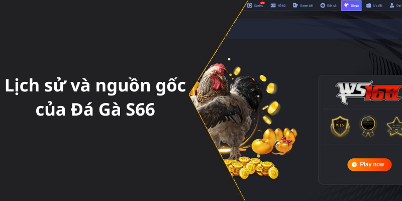 Lịch sử và nguồn gốc của Đá Gà S66