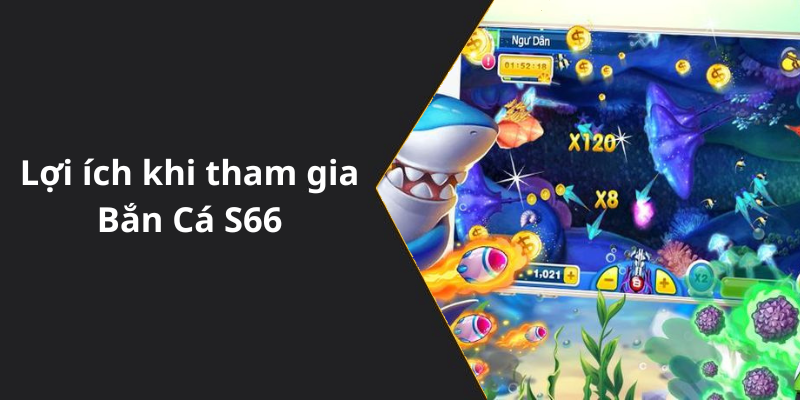 Lợi ích khi tham gia Bắn Cá S66