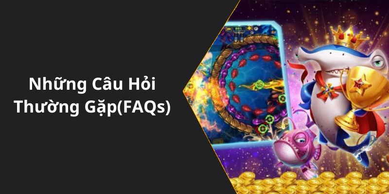 Những Câu Hỏi Thường Gặp(FAQs)