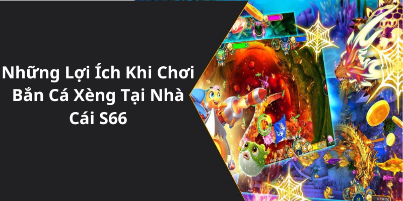 Những Lợi Ích Khi Chơi Bắn Cá Xèng Tại Nhà Cái S66