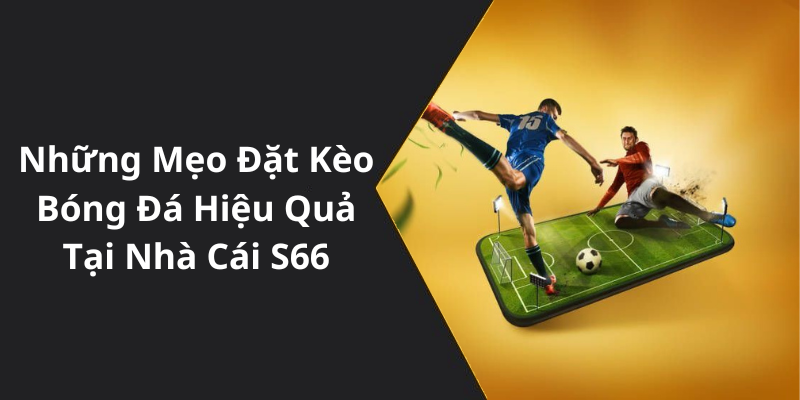 Những Mẹo Đặt Kèo Bóng Đá Hiệu Quả Tại Nhà Cái S66