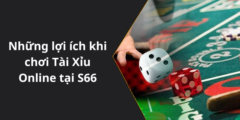 Những lợi ích khi chơi Tài Xỉu Online tại S66