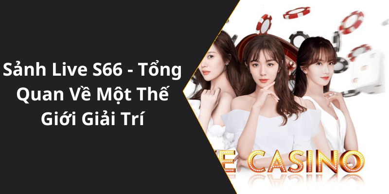 Sảnh Live S66 - Tổng Quan Về Một Thế Giới Giải Trí