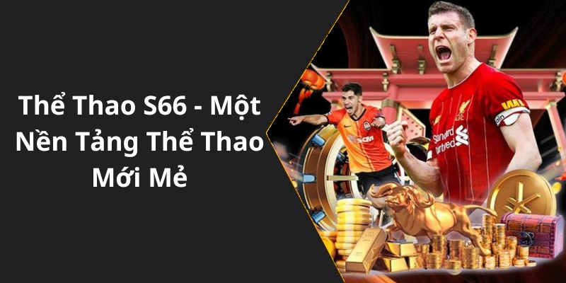 Thể Thao S66 - Một Nền Tảng Thể Thao Mới Mẻ