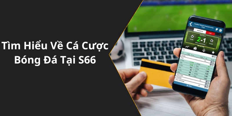 Tìm Hiểu Về Cá Cược Bóng Đá Tại S66