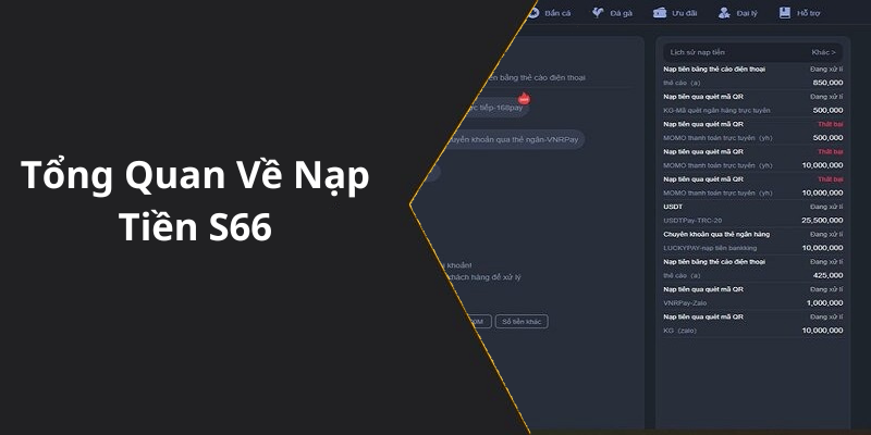 Tổng Quan Về Nạp Tiền S66