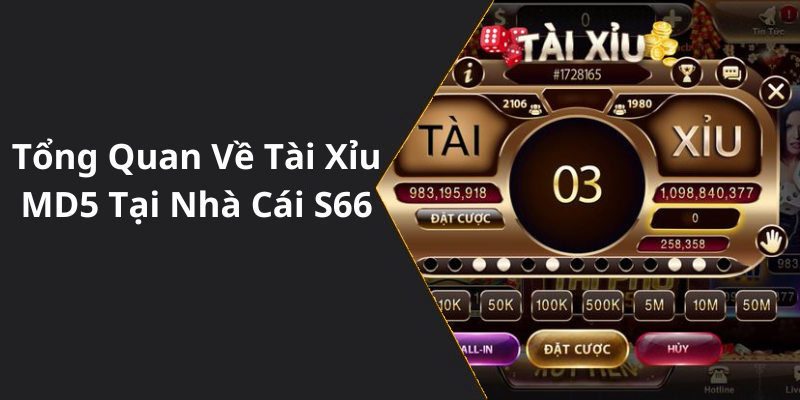 Tổng Quan Về Tài Xỉu MD5 Tại Nhà Cái S66