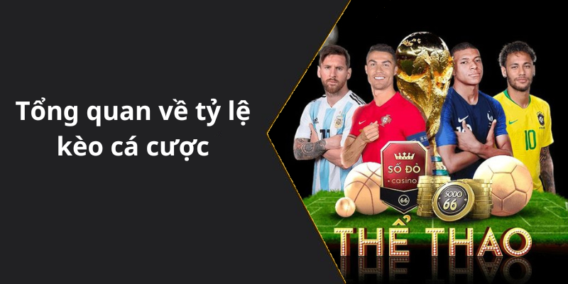 Tổng quan về tỷ lệ kèo cá cược