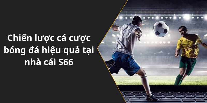 Chiến lược cá cược bóng đá hiệu quả tại nhà cái S66