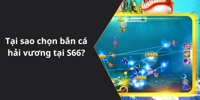 Tại sao chọn bắn cá hải vương tại S66