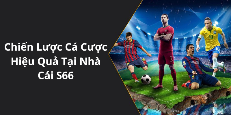 Chiến Lược Cá Cược Hiệu Quả Tại Nhà Cái S66