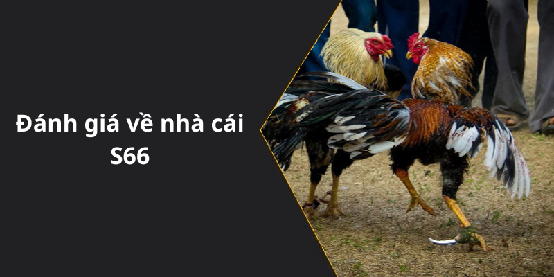 Đánh giá về nhà cái S66