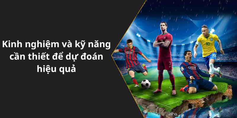 Kinh nghiệm và kỹ năng cần thiết để dự đoán hiệu quả