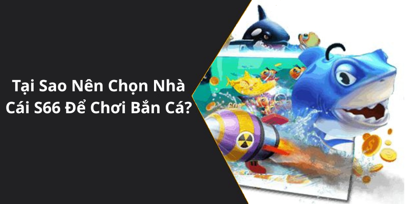 Tại Sao Nên Chọn Nhà Cái S66 Để Chơi Bắn Cá