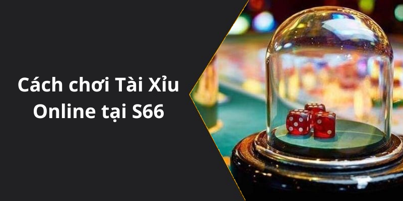 Cách chơi Tài Xỉu Online tại S66