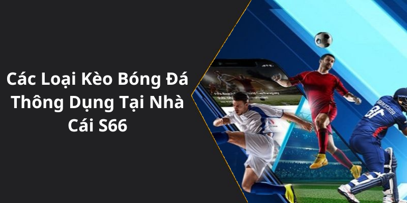 Các Loại Kèo Bóng Đá Thông Dụng Tại Nhà Cái S66