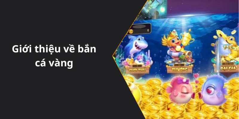 Giới thiệu về bắn cá vàng