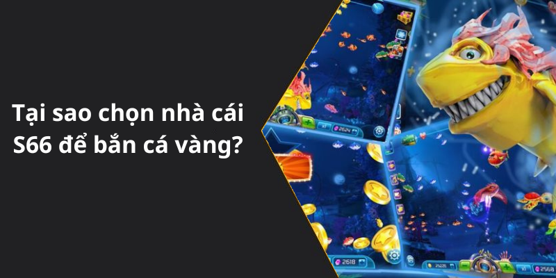 Tại sao chọn nhà cái S66 để bắn cá vàng