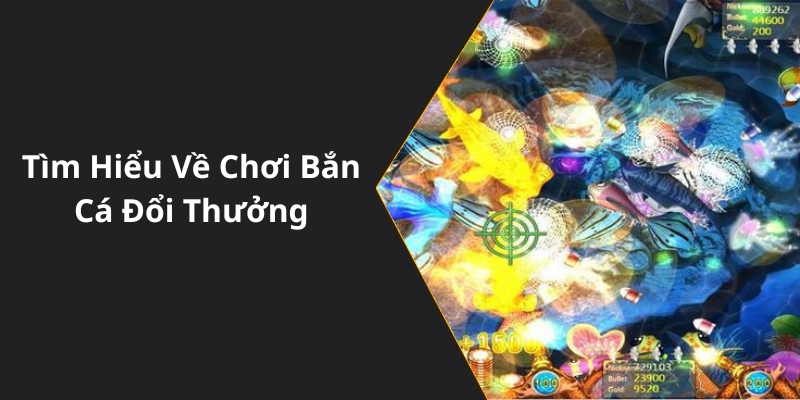 Tìm Hiểu Về Chơi Bắn Cá Đổi Thưởng