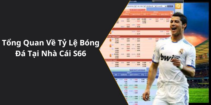 Tổng Quan Về Tỷ Lệ Bóng Đá Tại Nhà Cái S66
