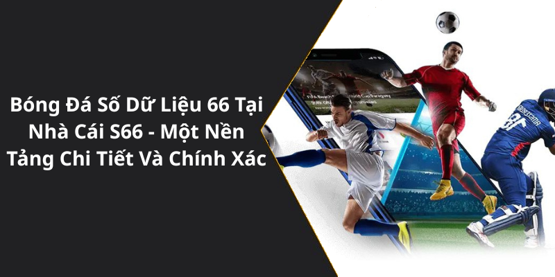 Bóng Đá Số Dữ Liệu 66 Tại Nhà Cái S66 - Một Nền Tảng Chi Tiết Và Chính Xác