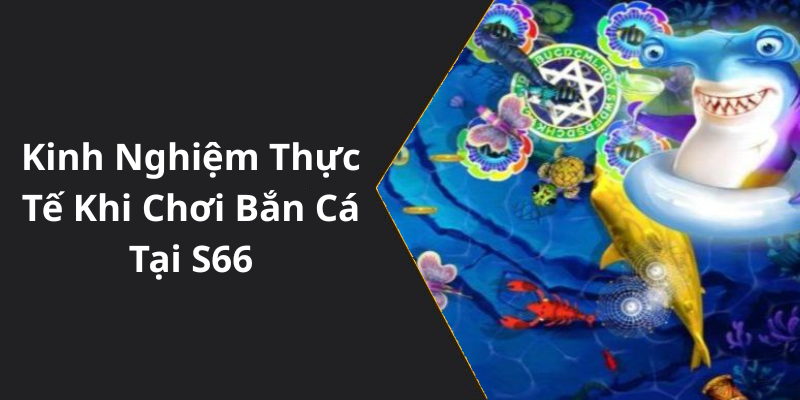 Kinh Nghiệm Thực Tế Khi Chơi Bắn Cá Tại S66