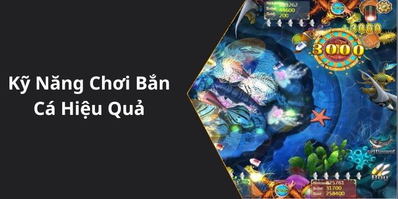 Kỹ Năng Chơi Bắn Cá Hiệu Quả
