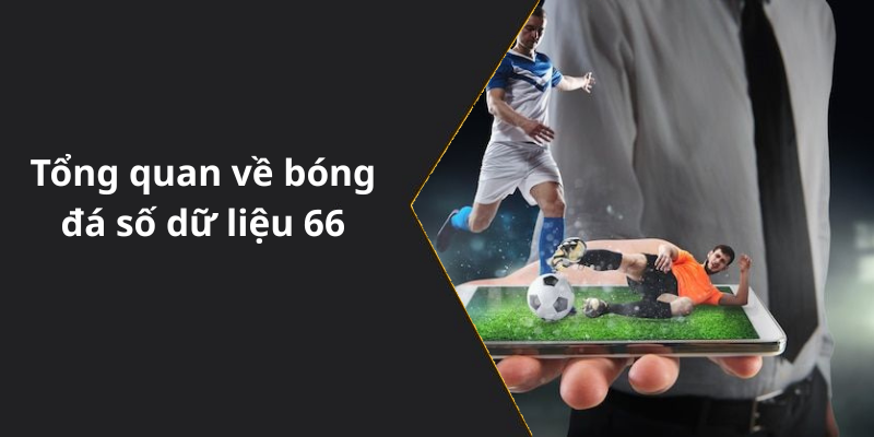 Tổng quan về bóng đá số dữ liệu 66