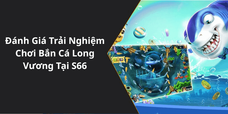 Đánh Giá Trải Nghiệm Chơi Bắn Cá Long Vương Tại S66