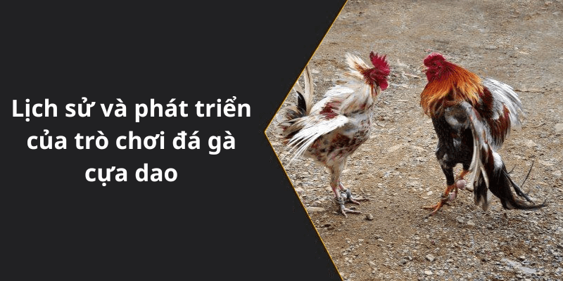 Lịch sử và phát triển của trò chơi đá gà cựa dao