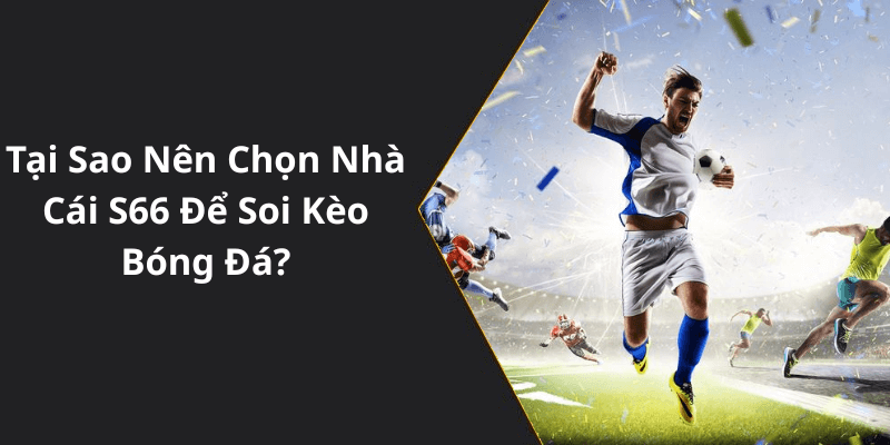 Tại Sao Nên Chọn Nhà Cái S66 Để Soi Kèo Bóng Đá